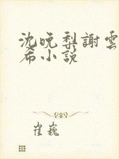 沈晚梨谢云迟叶希小说封面