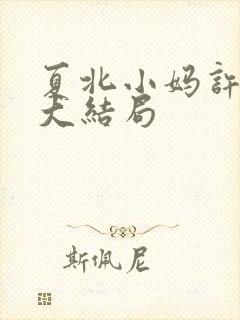 夏北小妈许馨柔大结局封面