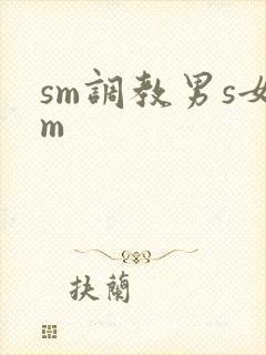 sm调教男s女m