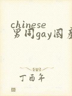 chinese男同gay国产封面