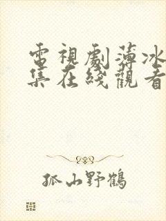 电视剧薄冰40集在线观看免费