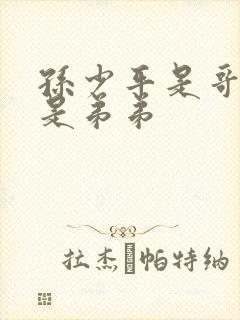 孙少平是哥哥还是弟弟