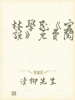 林学民《官场小说》免费阅读