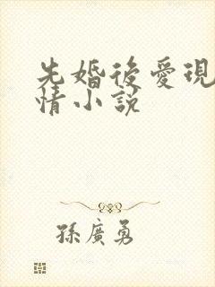 先婚后爱现代言情小说封面