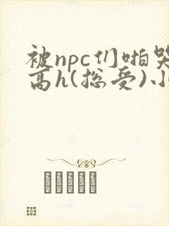 被npc们啪哭高h(总受)小说免费阅读
