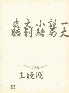 爽文小说一口气听到结局大女主封面