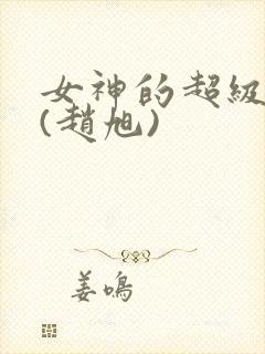 女神的超级赘婿(赵旭)