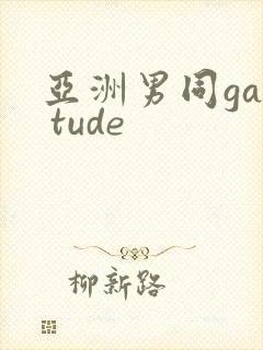 亚洲男同gay tude