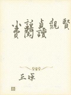 小说贞观贤王免费阅读封面
