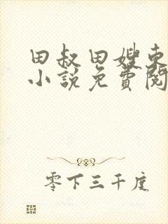 田叔田嫂东子的小说免费阅读
