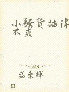小骚货插得你爽不爽