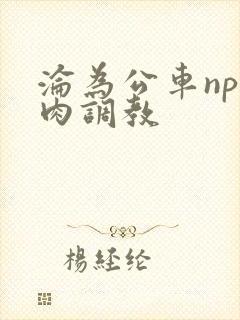 沦为公车np纯肉调教