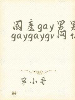 国产gay男男gaygaygv网站