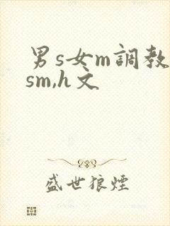男s女m调教(sm,h文
