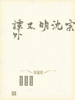 谭又明沈宗年番外
