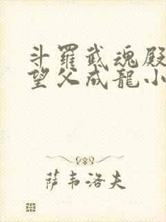 斗罗武魂殿圣子望父成龙小说