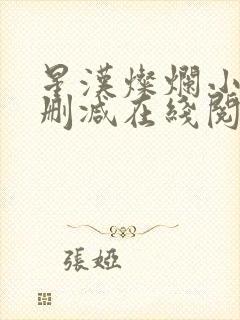星汉灿烂小说无删减在线阅读