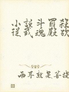 小说斗罗杀星,从武魂殿砍到神界中枢全文