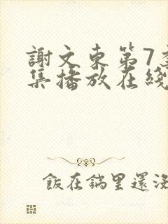谢文东第7季全集播放在线观看封面
