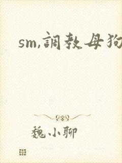 sm,调教母狗
