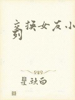 交换女友小说系列