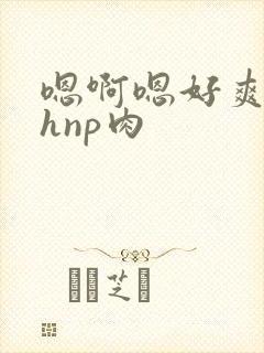 嗯啊嗯好爽啊高hnp肉