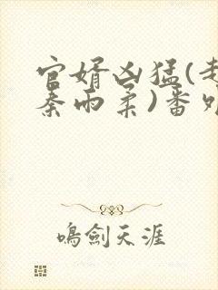 官婿凶猛(赵阳秦雨柔)番外+大结局小说