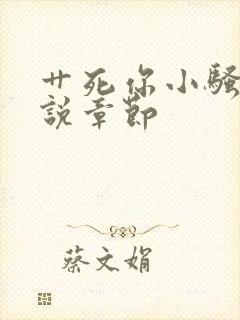 艹死你小骚货小说章节封面