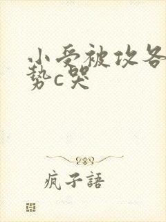 小受被攻各种姿势c哭