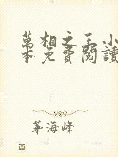 万相之王小说完本免费阅读