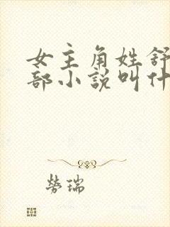 女主角姓舒的全部小说叫什么
