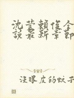 沈莹赖俊全文小说最新章节更新时间