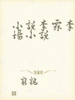 小说李霖李澜官场小说