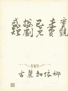 盛总已老实夫人短剧免费观看