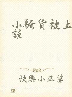 小骚货被上的小说