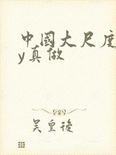 中国大尺度gay真做