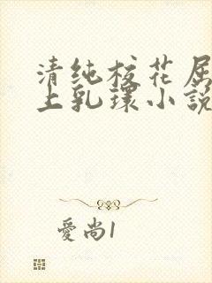 清纯校花屈辱戴上乳环小说封面