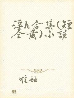淫h合集(短篇,全黄)小说