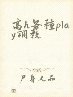 高h各种play调教
