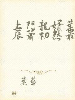上门龙婿叶辰叶辰萧初然最新