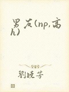 男友(np,高h)封面