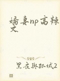 娇妻np高辣h文