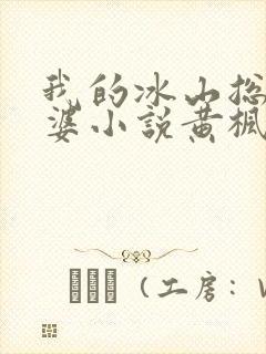 我的冰山总裁老婆小说黄枫雨天