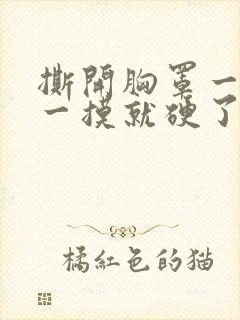 撕开胸罩一边亲一摸就硬了封面