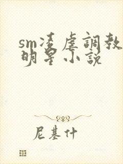 sm凌虐调教女明星小说封面