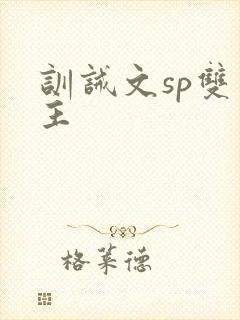 训诫文sp双男主
