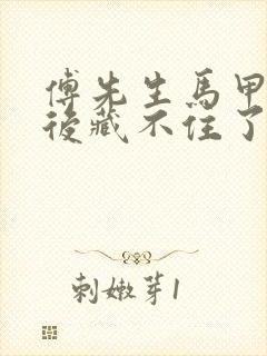 傅先生马甲闪婚后藏不住了封面