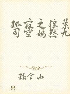 孤寂之狼叶凡与司空嫣然九十章