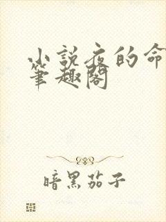 小说夜的命名术笔趣阁