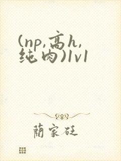 (np,高h,纯肉)1v1